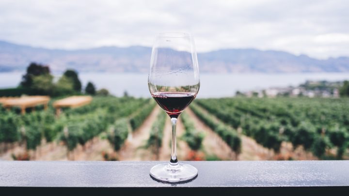 Review  Wineries