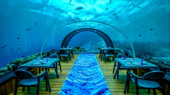 Review Restaurant 5.8 Undersea Restaurant