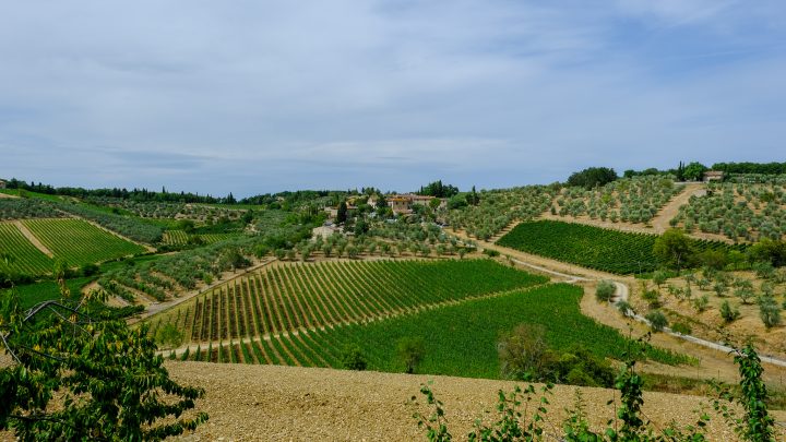Review Winery Castello di Ama Winery, Tuscany